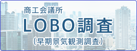 商工会議所LOBO調査